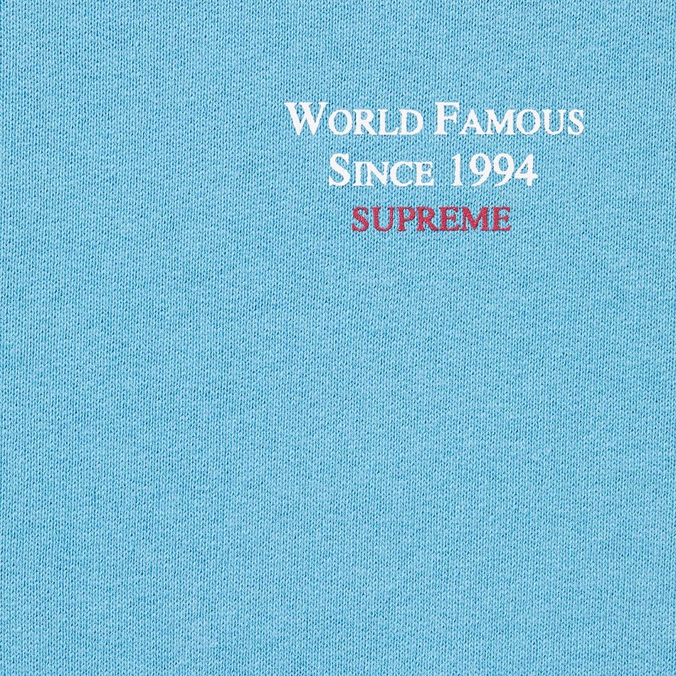 World Famous Micro Hooded Sweatshirt view 5